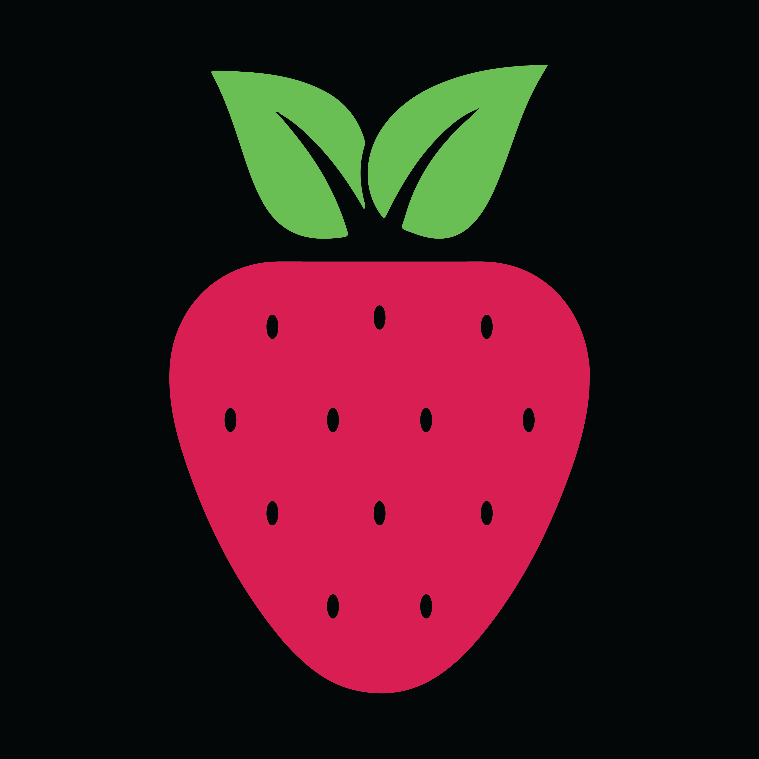 BerrySafe Logo